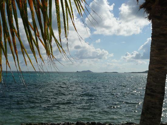 Club St. Croix Beach And Tennis Resort คริสเตียนสเต็ด ภายนอก รูปภาพ